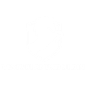 VD Logo