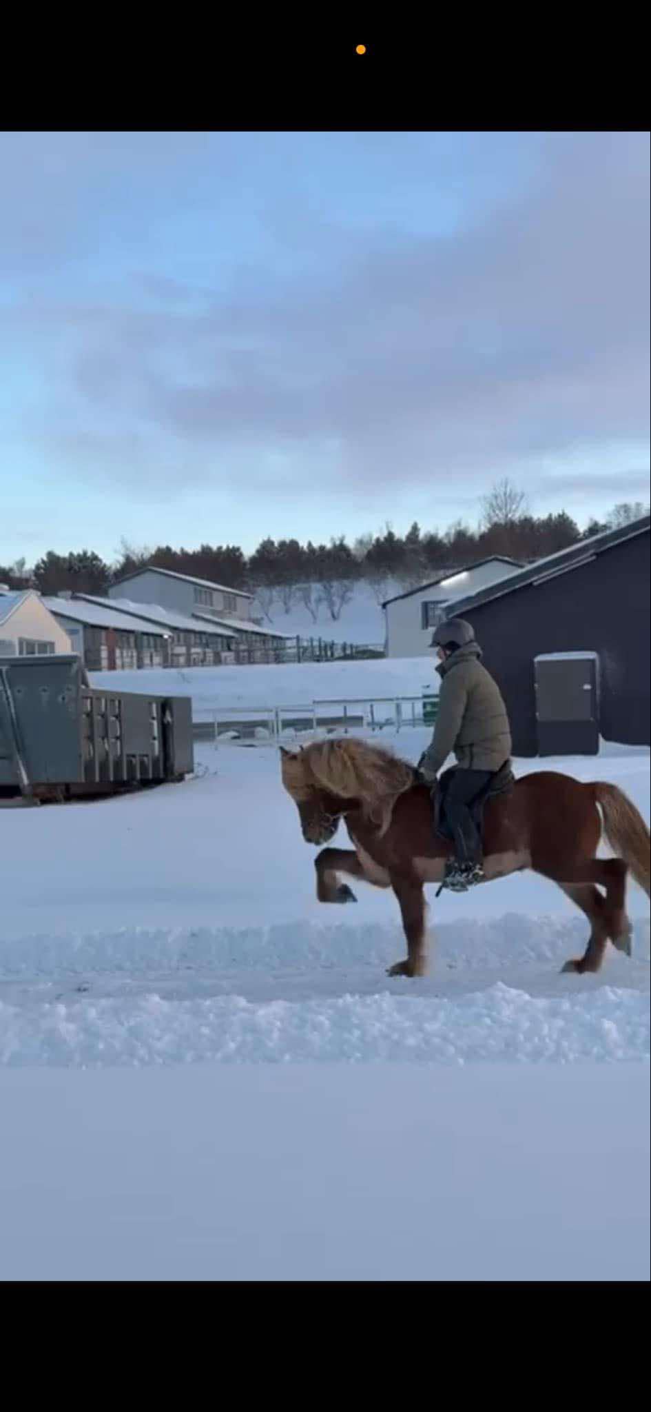 Hólmsteinn Kristjánsson 's photo