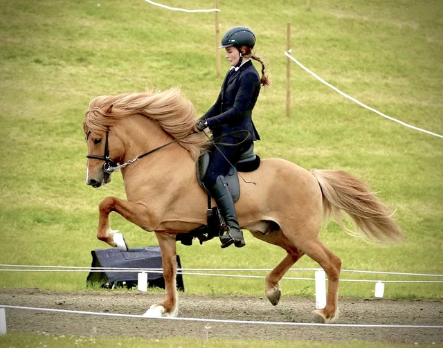 Brynja Kristinsdóttir 's photo