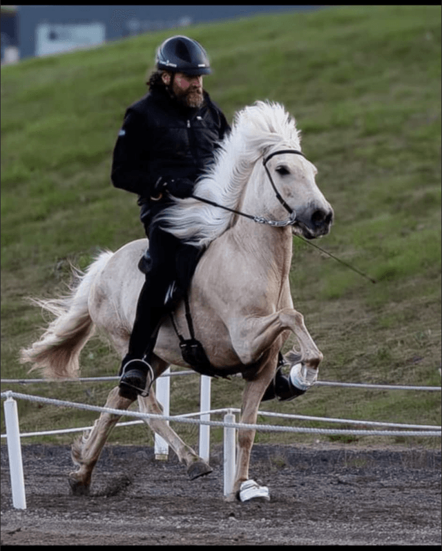 Magnús Bragi Magnússon 's photo