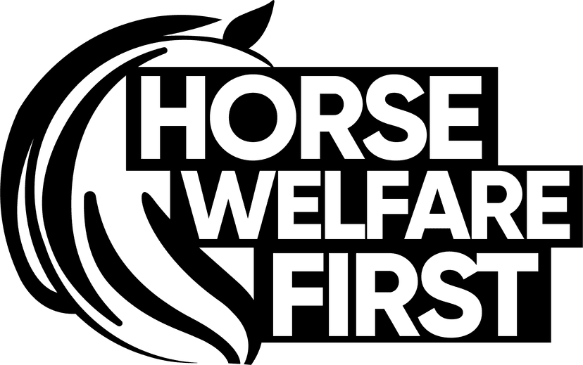 Impact Logo