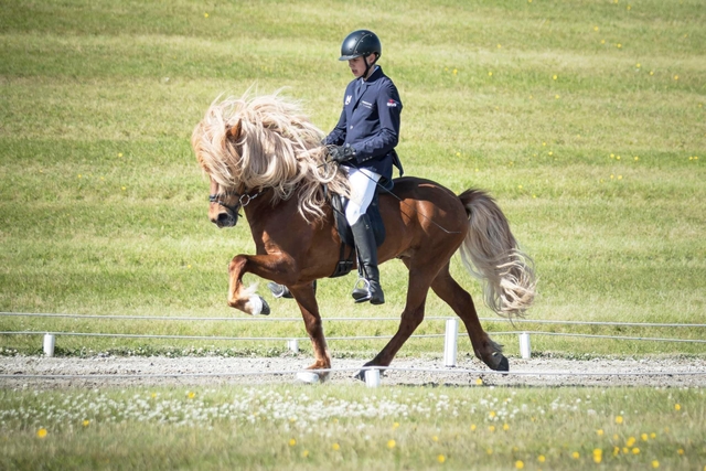 Guðmar Hólm Ísólfsson's photo